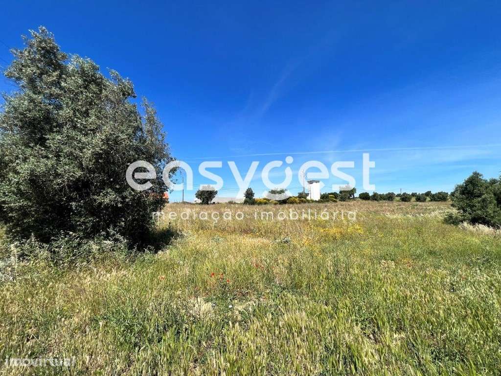 Terreno misto com 13720m2 totais , com vista desafogada e bons acessos - Grande imagem: 4/19