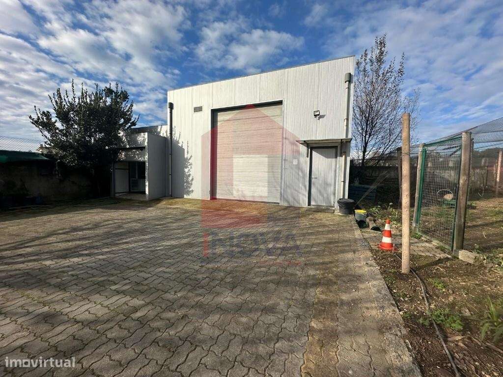 Terreno com plantação, Turiz - Grande imagem: 4/27