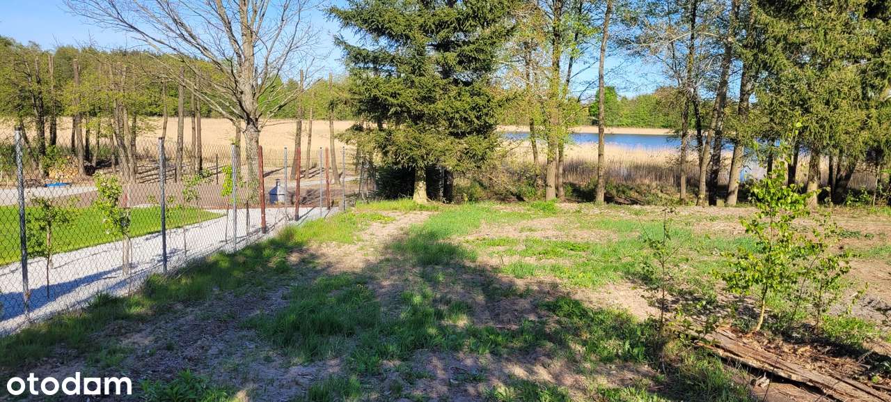 Działka rolno-budowlana z bezpośrednią linią brzegową jeziora - Pełny obrazek: 5/14
