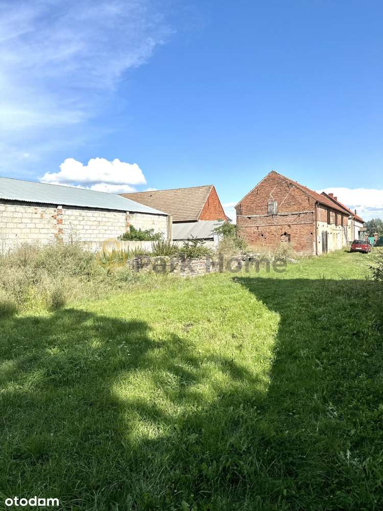 Nowa Cena. Dom z ogrodem 15 min od Głogowa - Pełny obrazek: 4/14