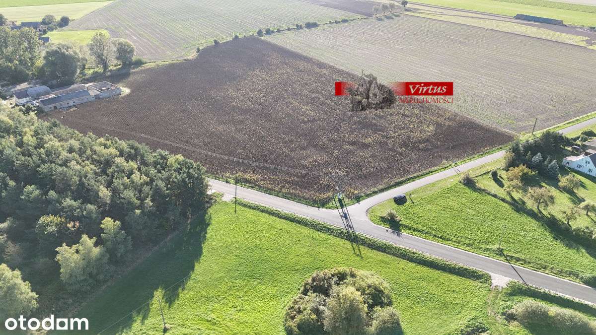 Działka budowlana w Berkowie gmina Kiszkowo - Pełny obrazek: 5/7