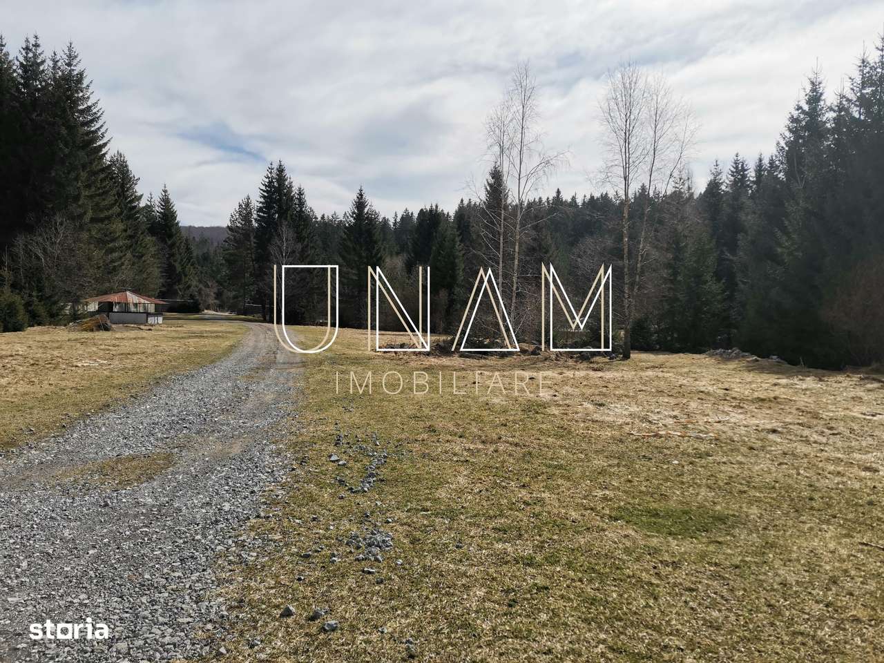 ***OFERTA NOUA*** Teren lângă Scenă, în Poiana Lupului, Gărâna-12