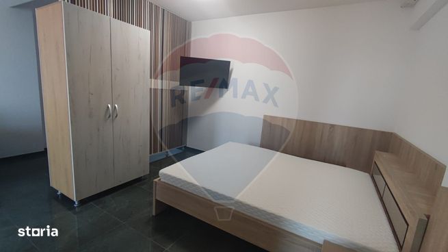 Apartament tip studio de vanzare Ultracentral Promenada Crisului-8
