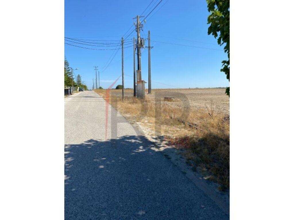 Terreno Agrícola em Pegões - Grande imagem: 4/10