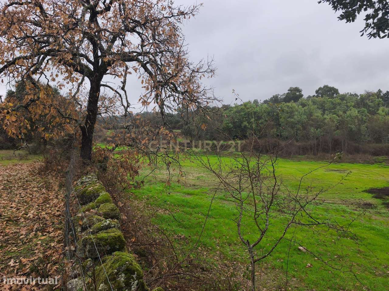 Terreno Rustico com Ruína e Ribeiro – Martianas, Fundão – Proximidade - Grande imagem: 5/9