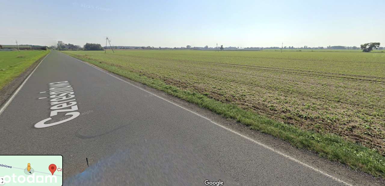 Grunt rolny 2,6 ha - Trzek, gm. Kostrzyn - Pełny obrazek: 4/4