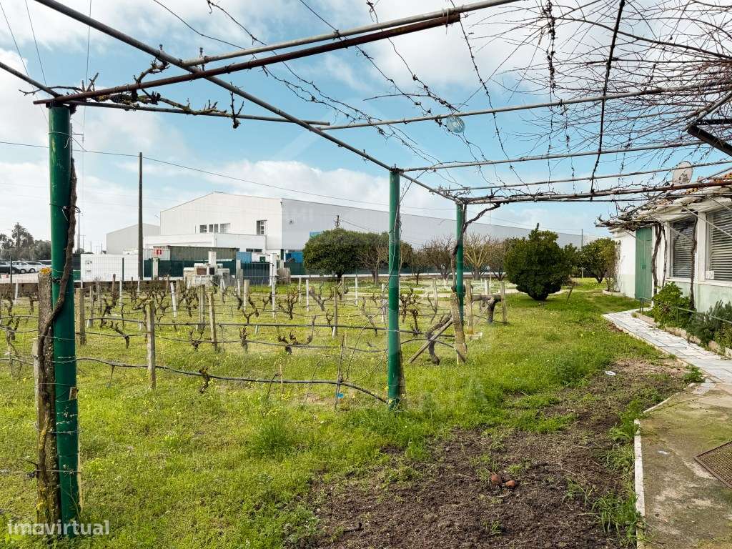 Terreno em Benavente-18