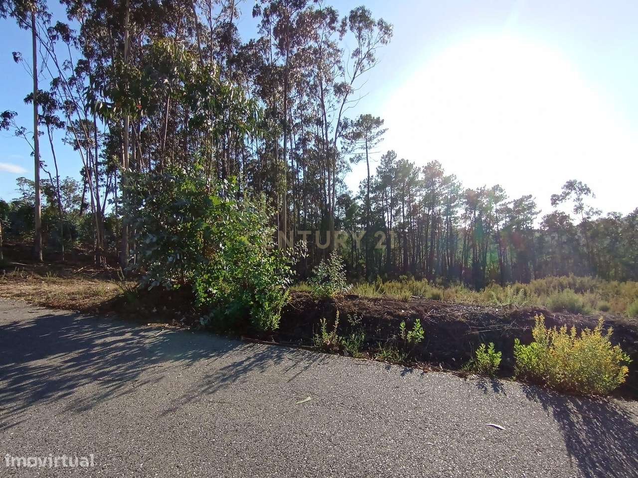 Terreno para Construção – Oportunidade Única! - Grande imagem: 2/8