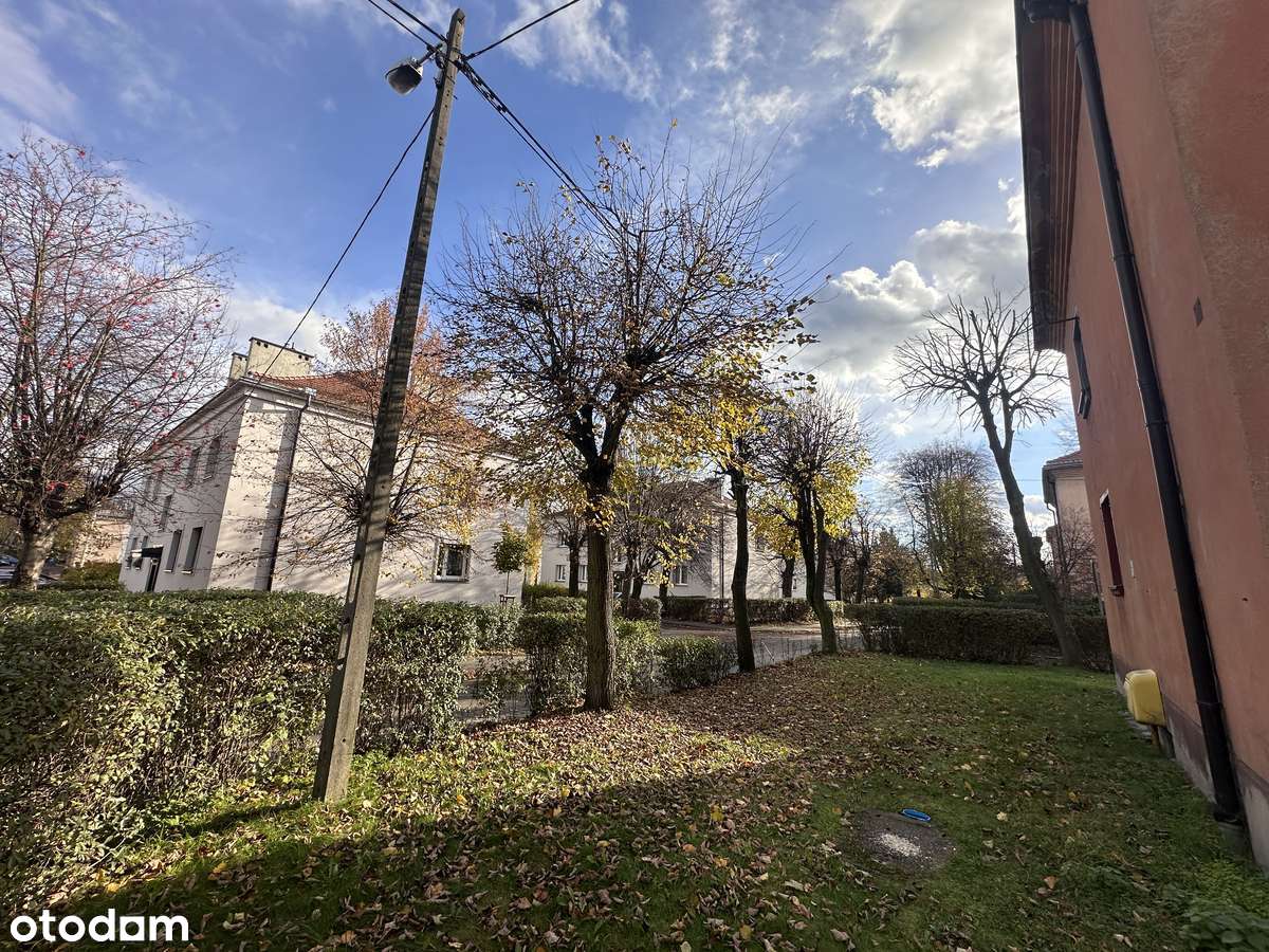 2 pokoje, 38m²do remontu w spokojnej, zielonej okolicy, I piętro - Pełny obrazek: 1/13