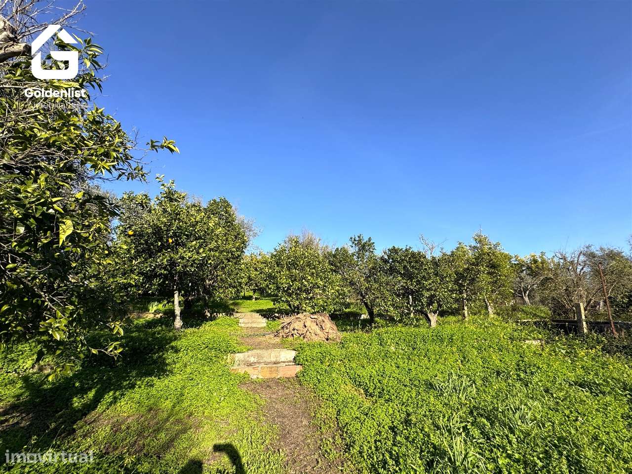 Quinta  Venda em Monforte da Beira,Castelo Branco-25