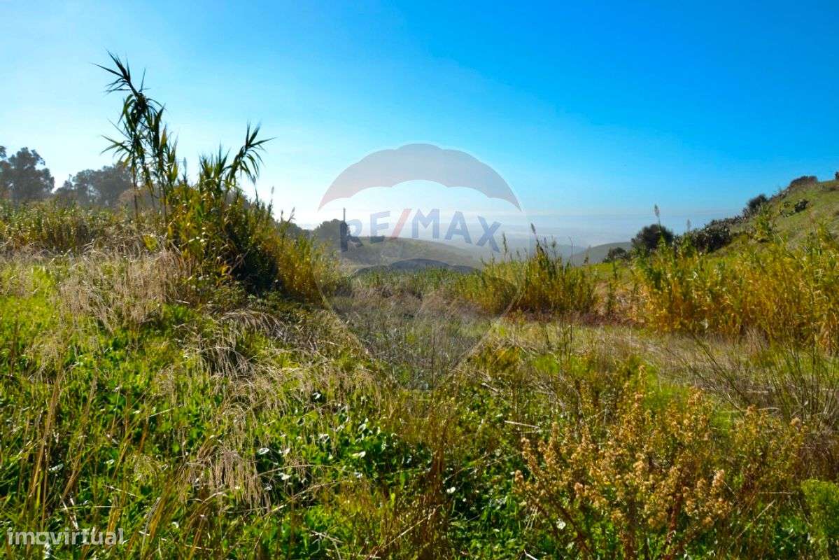 Terreno  para venda - Grande imagem: 4/11