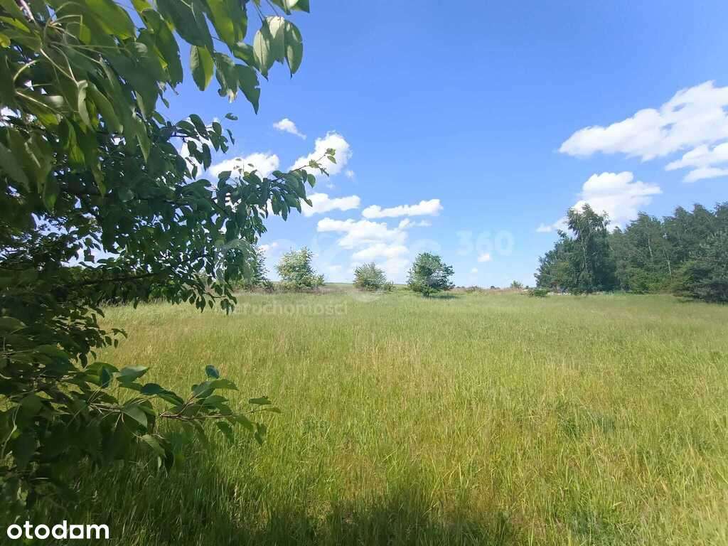 Działki zalew Michalice - Pełny obrazek: 4/7