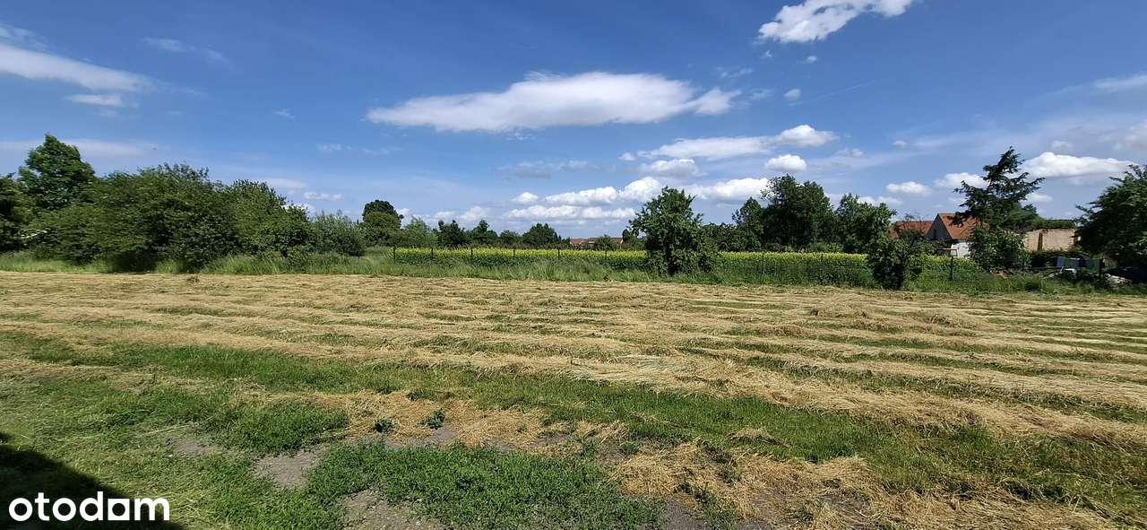 Działka na sprzedaż, 1116m², Lubsza - Pełny obrazek: 4/5