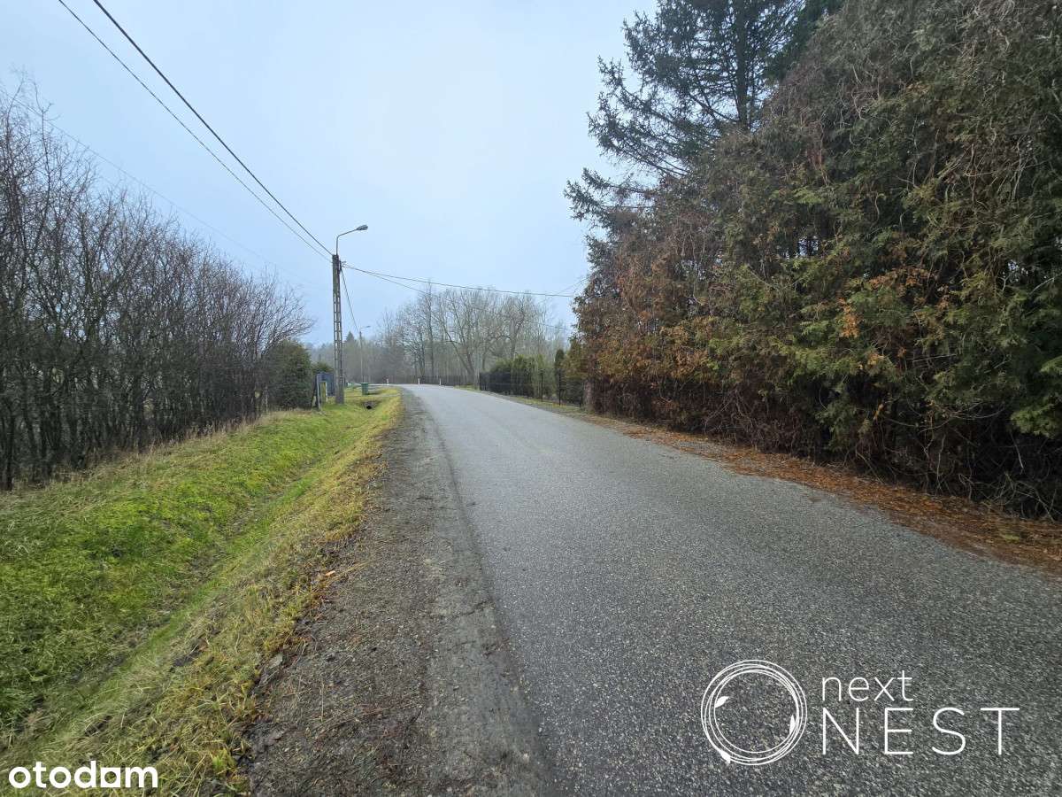 Blisko lasu, 1300m2, budowlana,Chojnów,gm.Piaseczo - Pełny obrazek: 4/5