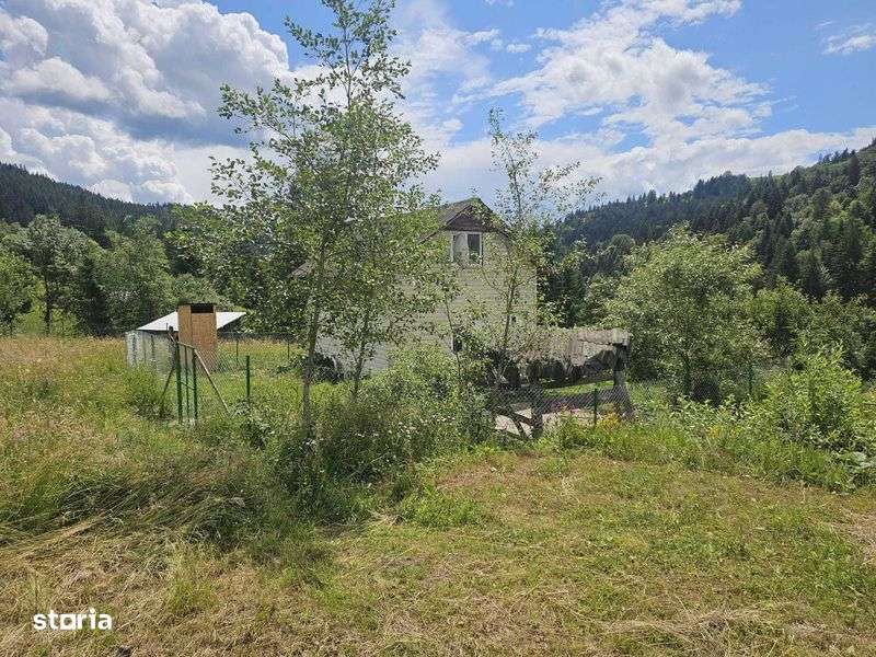 inchiriez teren si cabana Petru Voda- comuna Poiana Teiului - Imagine principală: 5/7