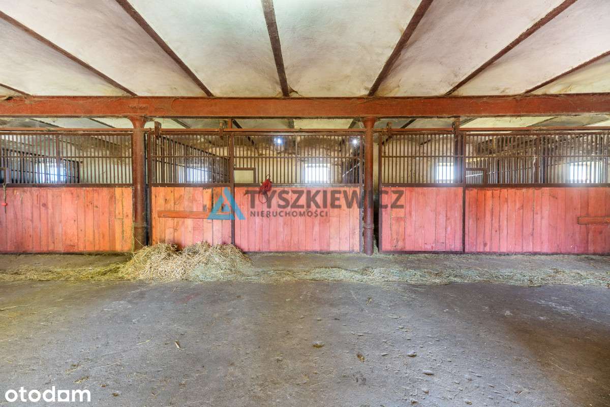 Duża Stajnia - budynek gospodarczy Żelazo - Pełny obrazek: 5/20
