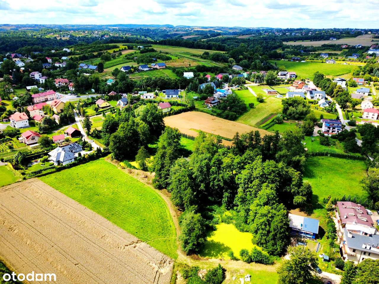 Wyjątkowa działka 81 ar | Przybysławice | staw, zieleń, media, MPZP - Pełny obrazek: 5/20