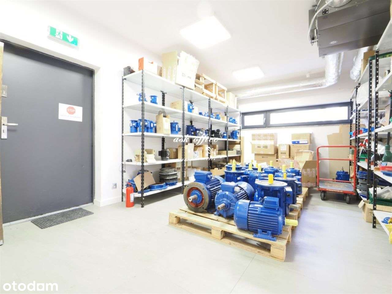 Lokal użytkowy, 443 m², Wrocław - Pełny obrazek: 5/20