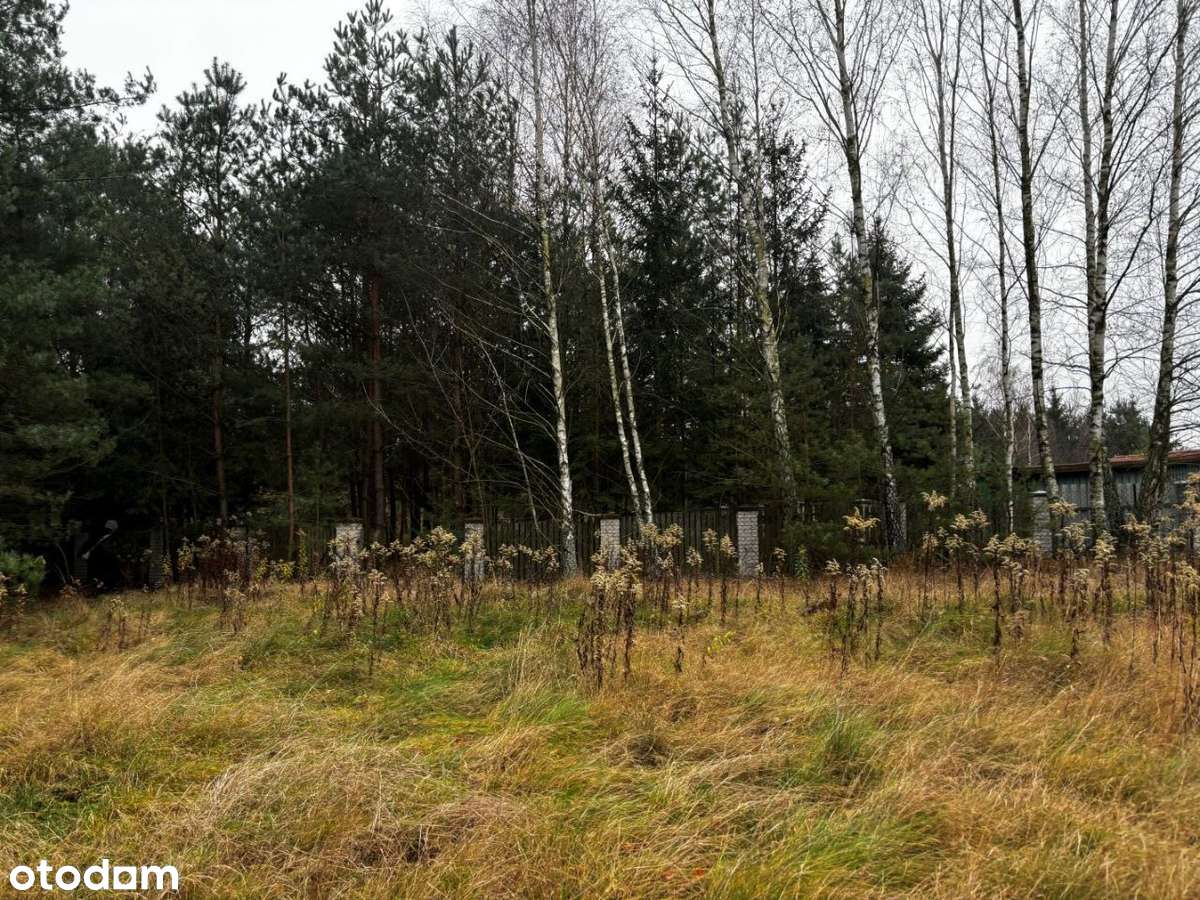Sprzedam działkę rolno-leśną w miejscowości Joniec - Pełny obrazek: 4/13