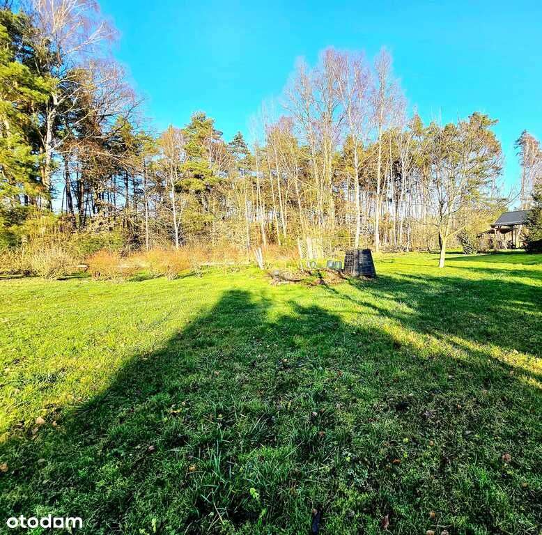 Dom pod samym lasem w Dobrej na dużej działce!-10