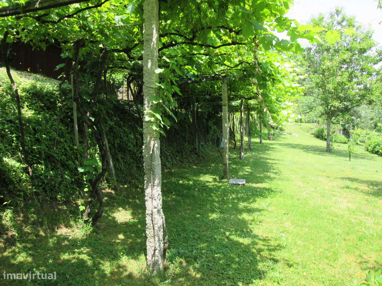 Quintinha no Minho Ponte de Lima * 10.000 m2 * a 90 Km do Porto-50