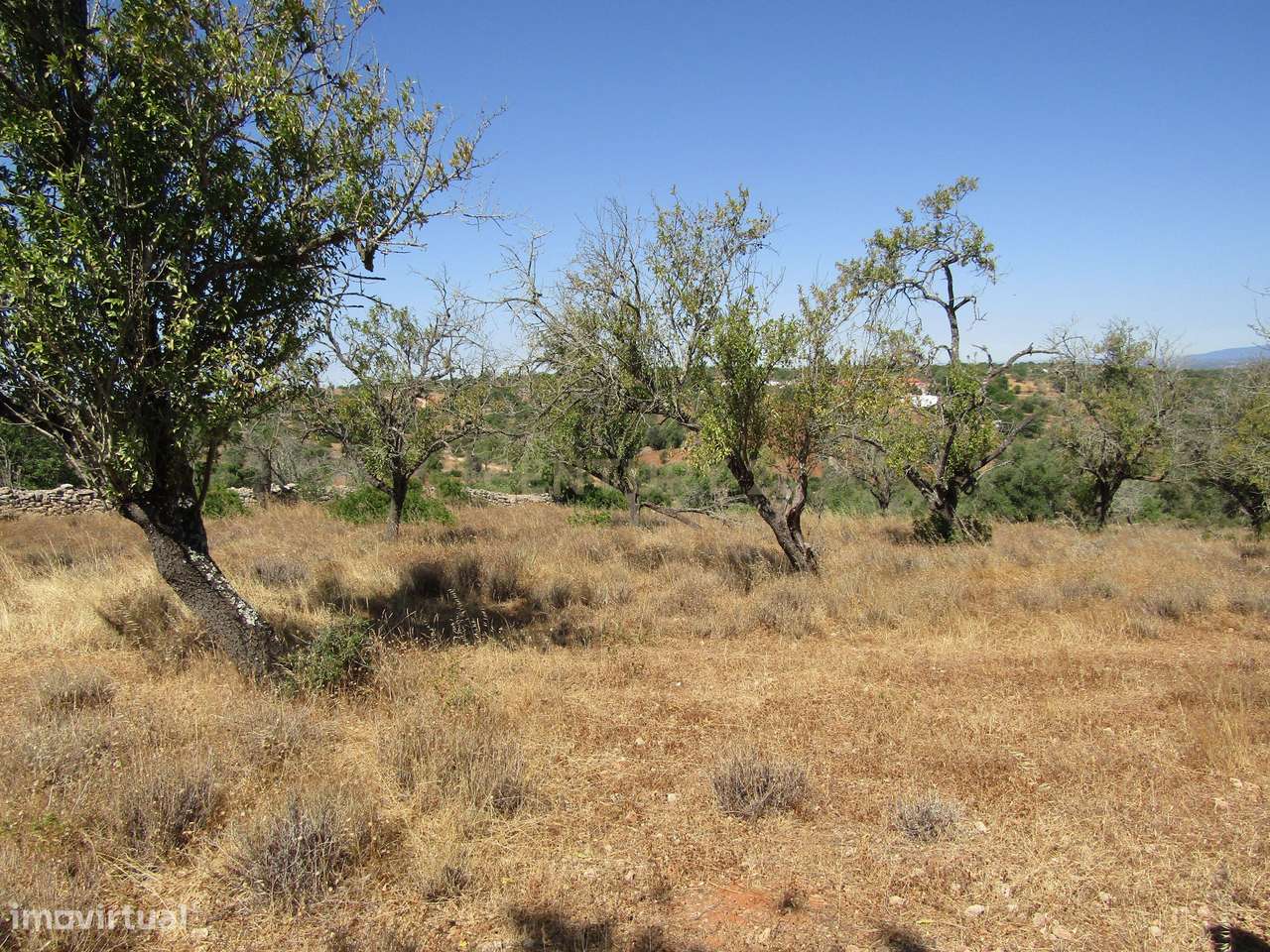 Terreno Rústico - Grande imagem: 5/11