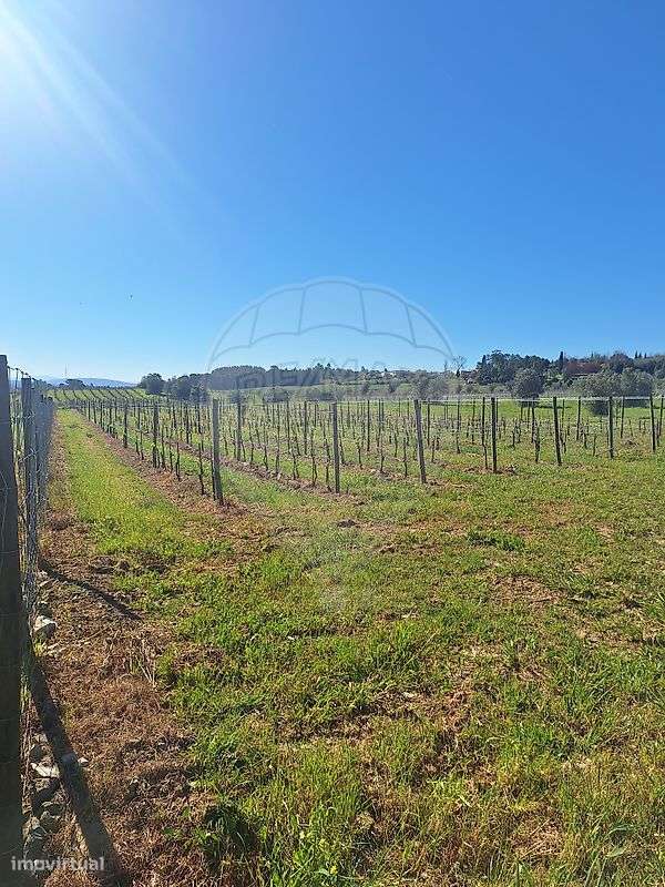 Terreno  para venda - Grande imagem: 2/3