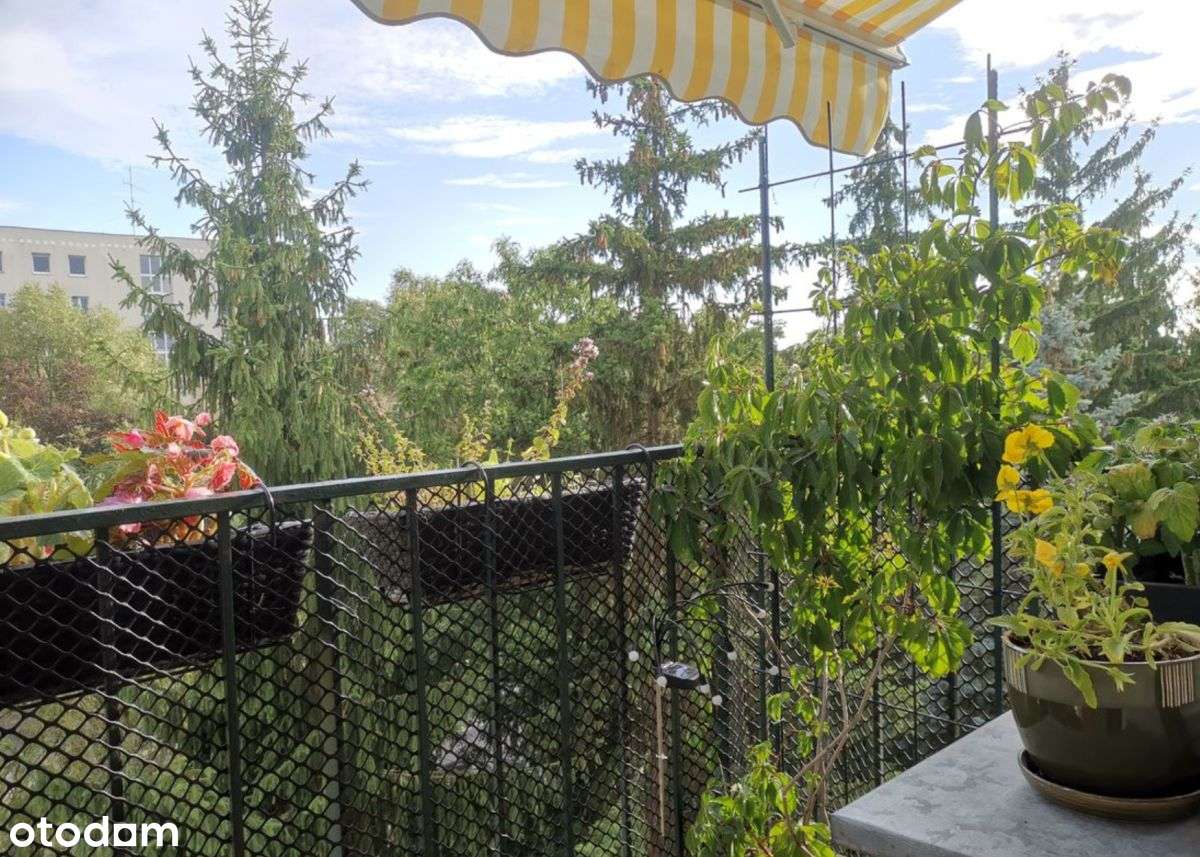 | 2 Pokoje | Odrębna Kuchnia |  Po Remoncie |-8