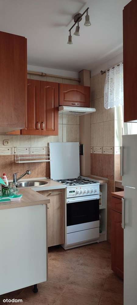 pokój dla studenta w trzypokojowym mieszkaniu - Pełny obrazek: 2/3