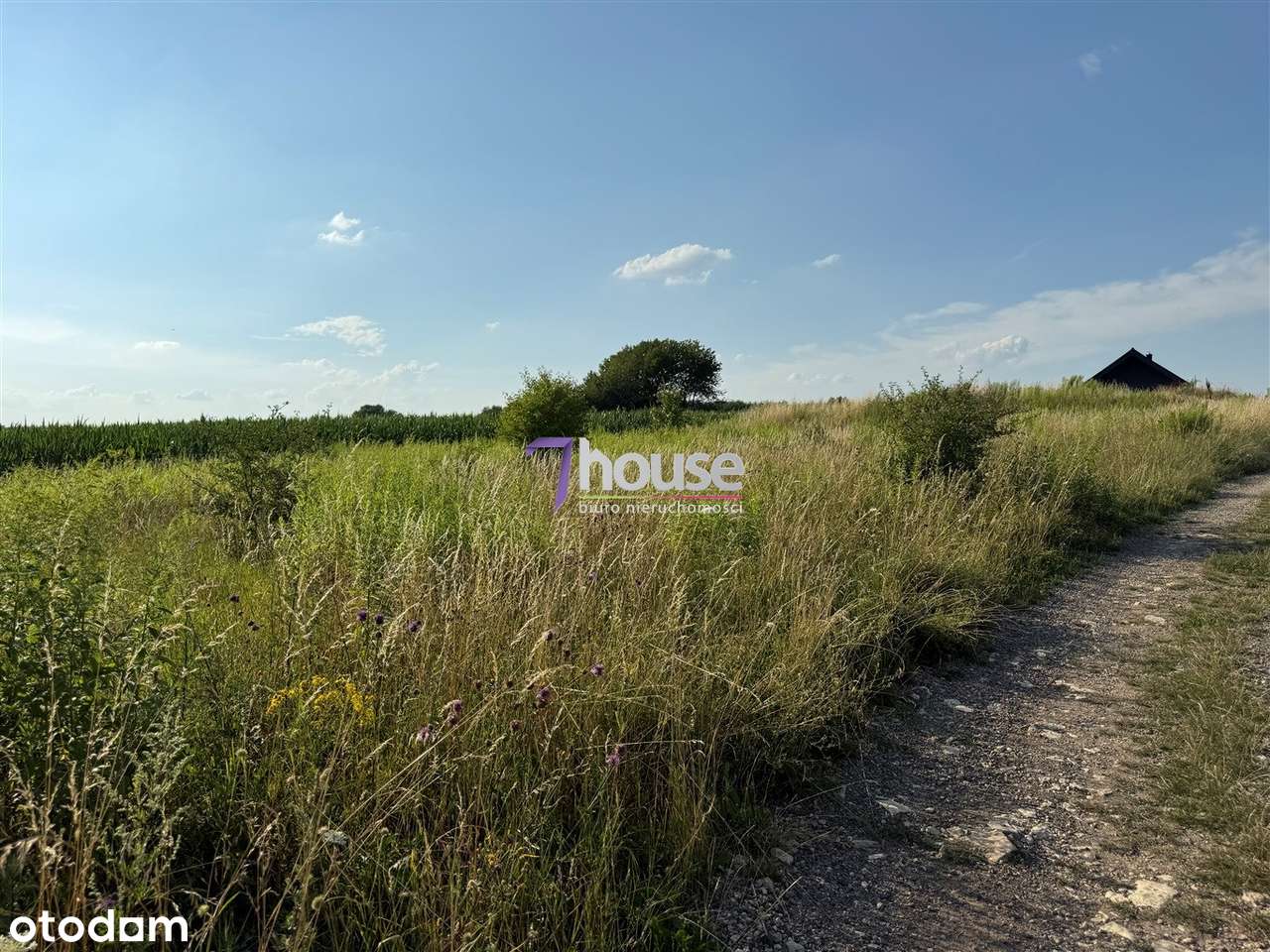 Widokowa Działka w Spokojnej Okolicy! MIERZĘCICE, ul. Radosna!-8