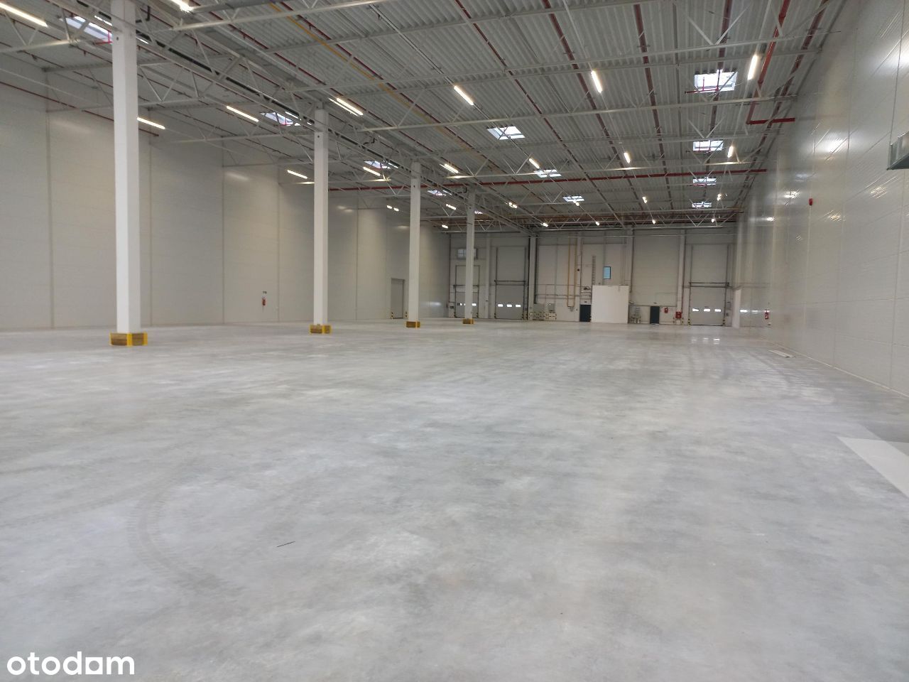 3.300m2 hala + 120m2 socjal/biuro POZNAŃ A Klasa!