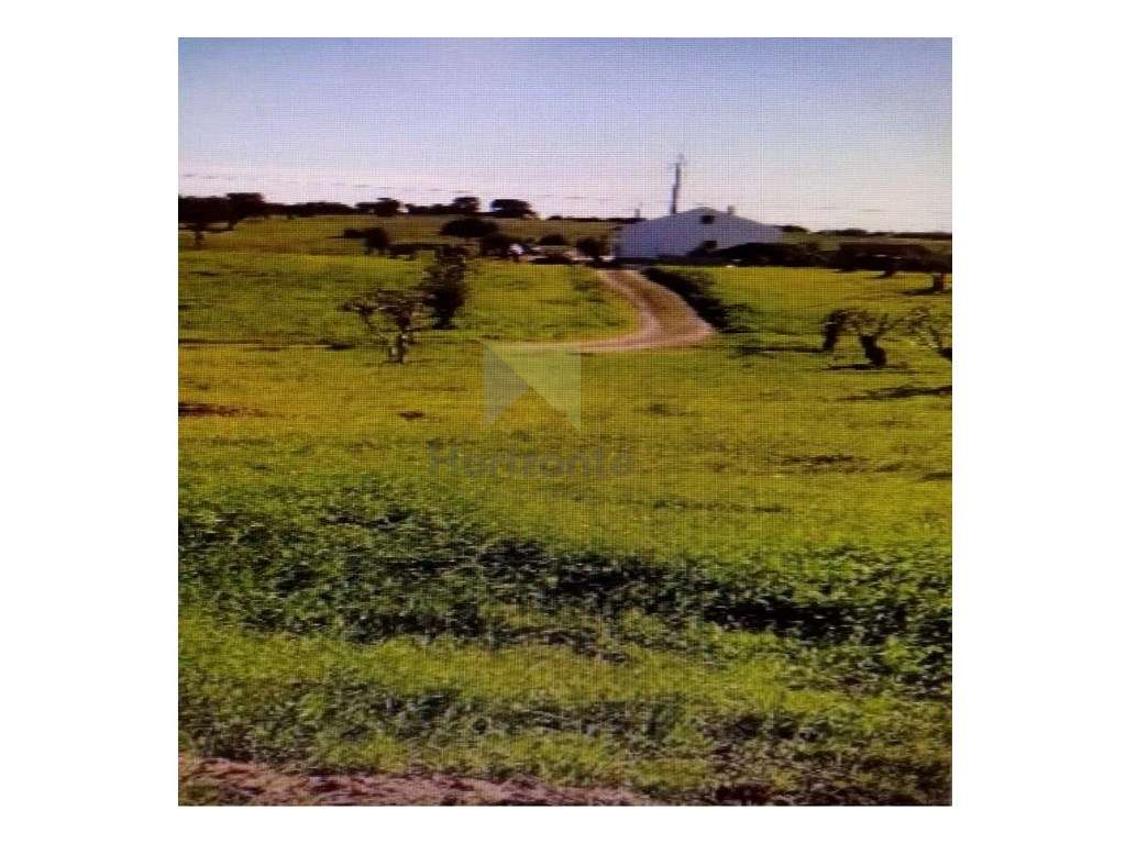 Terreno / Quinta para venda - Grande imagem: 5/6