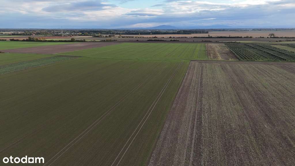 Atrakcyjne działki budowlane w Lutyni-10