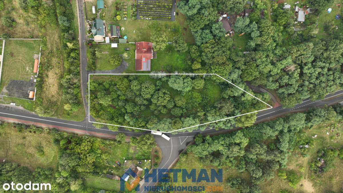 Działka ponad 0,5 ha - tylko 14km od Zielonej Góry - Pełny obrazek: 4/10