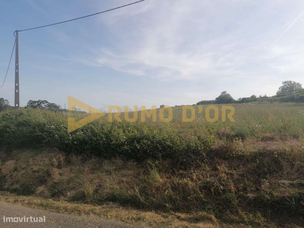 Terreno Rustico Santo Quintino - Grande imagem: 5/19