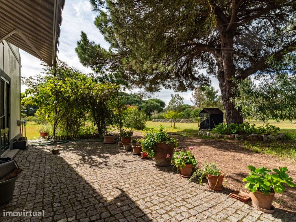 Herdade com 37 Ha com 6 Moradias para Habitação e/ou Turismo | Alcá...-11