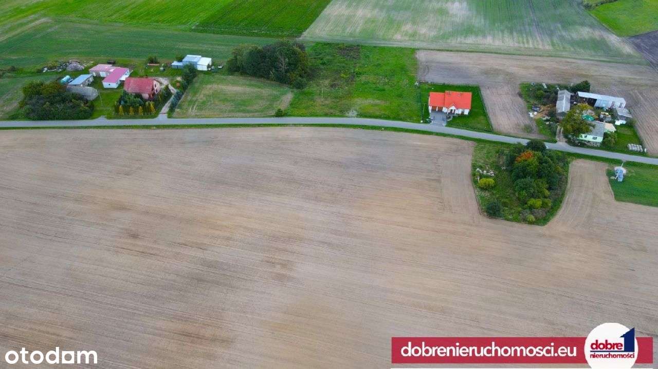 Działki 3000m2 Gliszcz z warunkami zabudowy - Pełny obrazek: 4/6