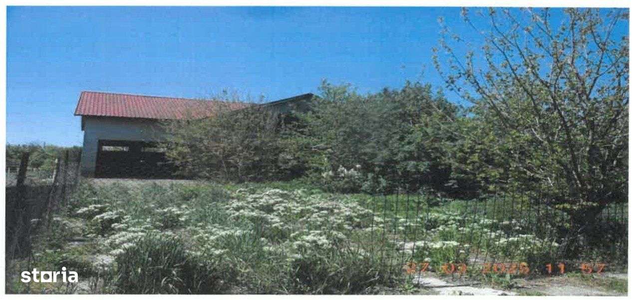 Constructii rezidentiale - 316mp + Teren - 810 MP, Suraia - Imagine principală: 2/5