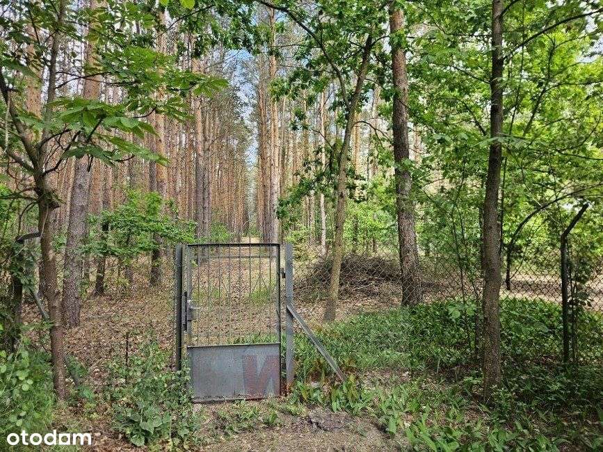 Nieruchomość z prywatnym lasem-17