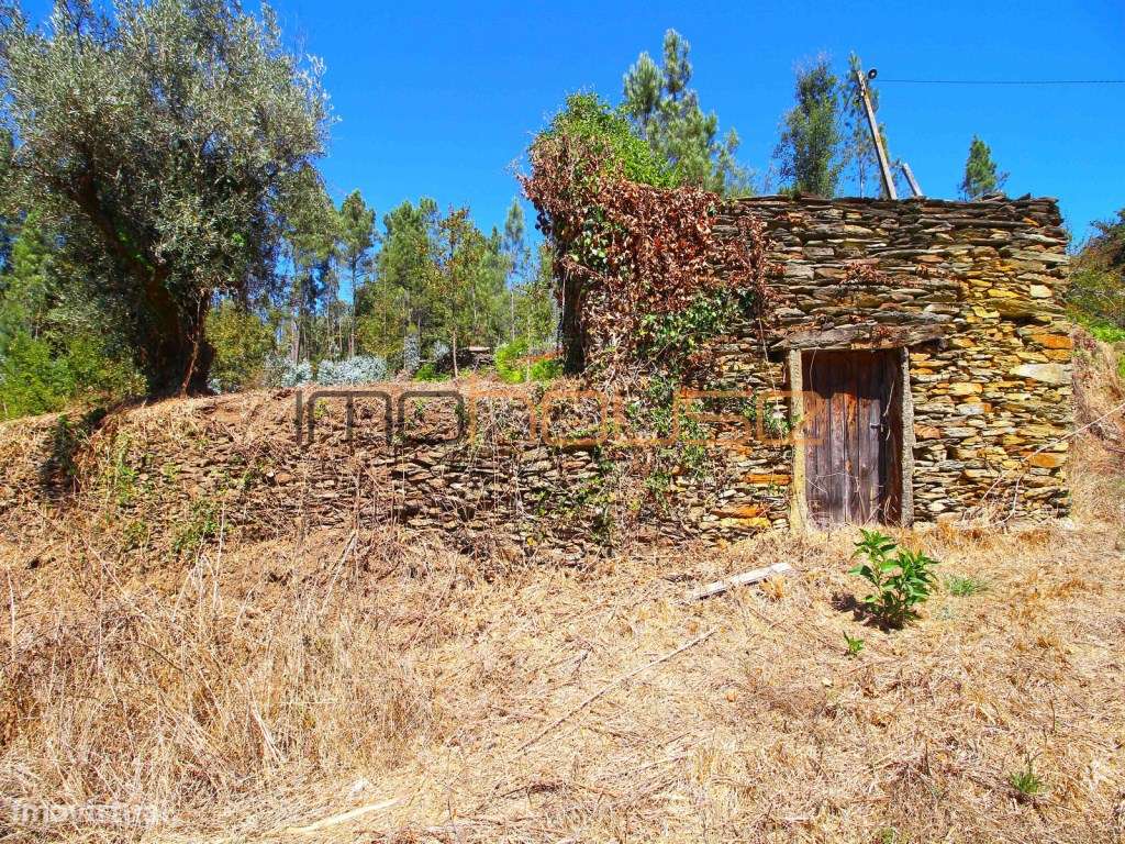 Quinta Isolada com Margem de Rio e Potencial de Eco-Retiro - Arouca-24