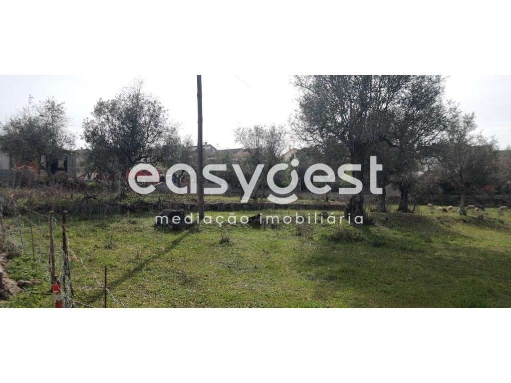 Terreno Rústico com viabilidade de construção e com projeto aprovado. - Grande imagem: 4/40