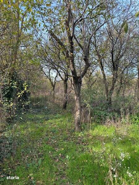 Casa Viile Satu Mare - Imagine principală: 4/6