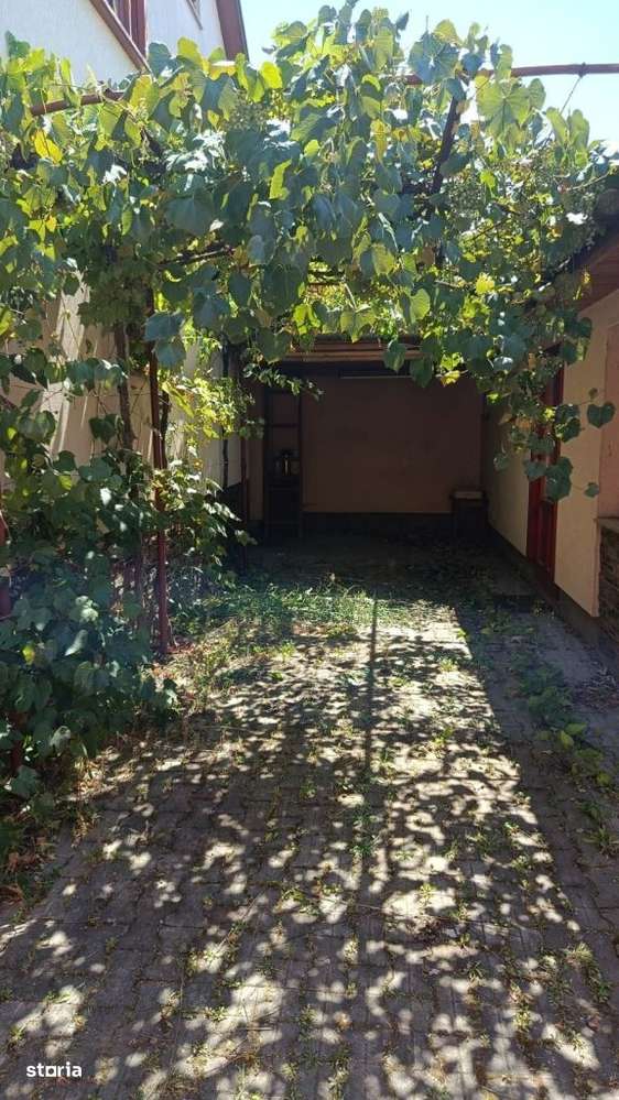 BEIUS, AUREL VLAICU CASA P+M, 200 MP SI TEREN 250 MP.-16