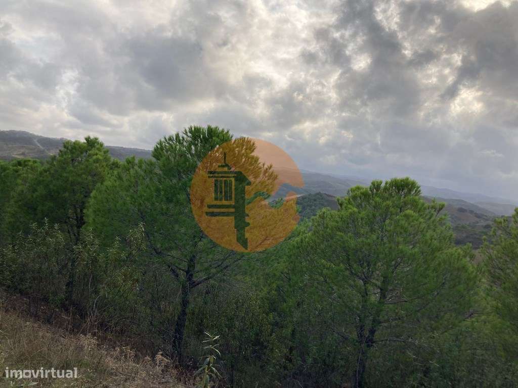 TERRENO COM 67.520 M2 - COM POSSIBILIDADE DE CONSTRUÇÃO - TURISMO O... - Grande imagem: 5/22