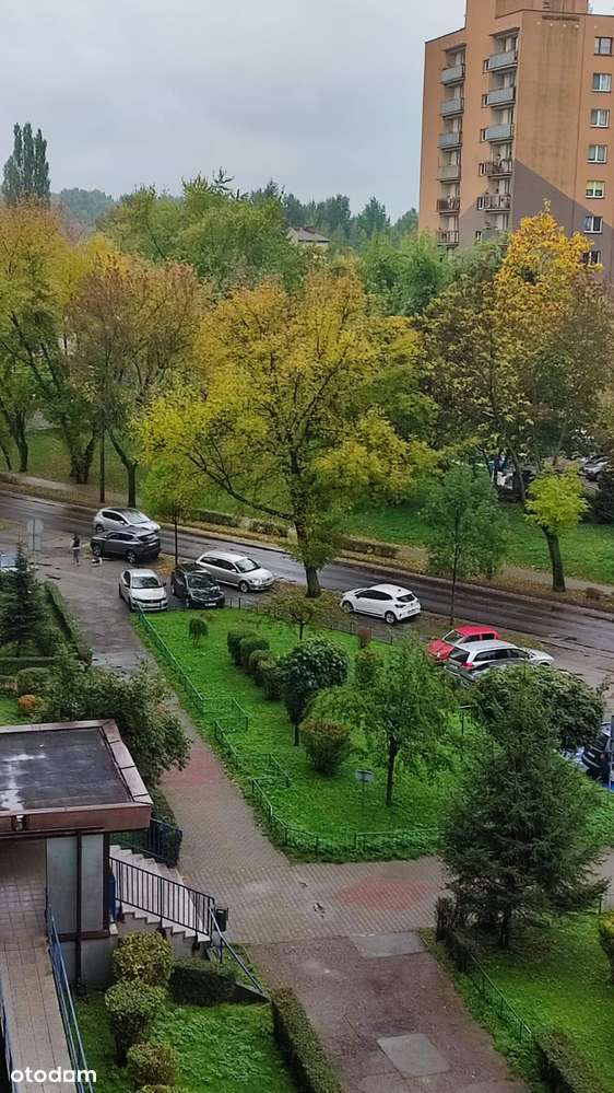 REZERWACJA - Pełny obrazek: 1/9