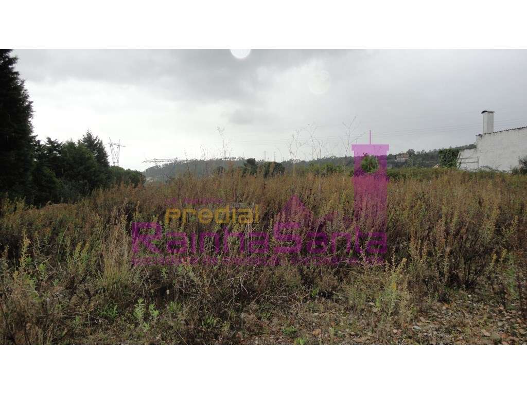 Terreno c/viabilidade p/ construção - Coimbra - Grande imagem: 3/3