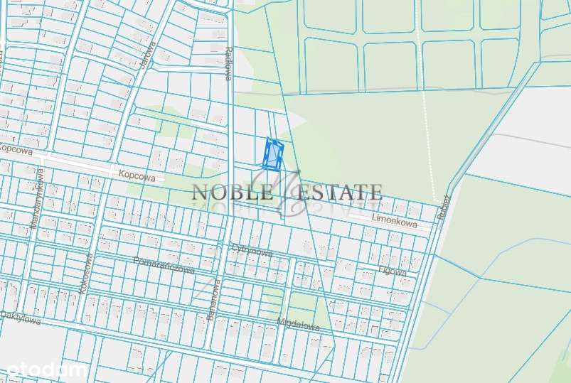 Działka Naramowice, Umultowo na sprzedaż-11