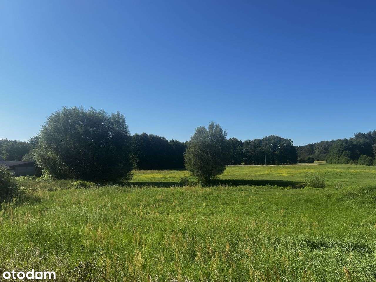 [Działka budowlana - Trzęśniew, gm. Kościelec] - Pełny obrazek: 4/6