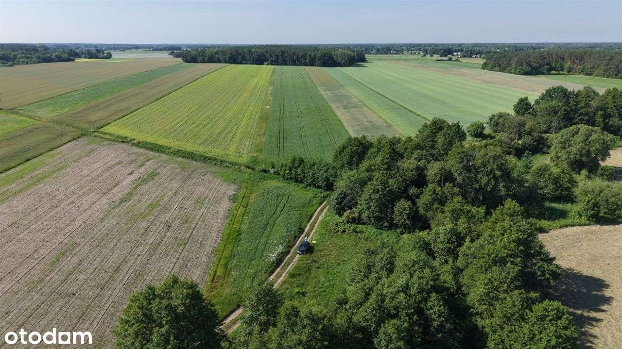 Duża działka w pobliżu rzeki Sona - Pełny obrazek: 5/10