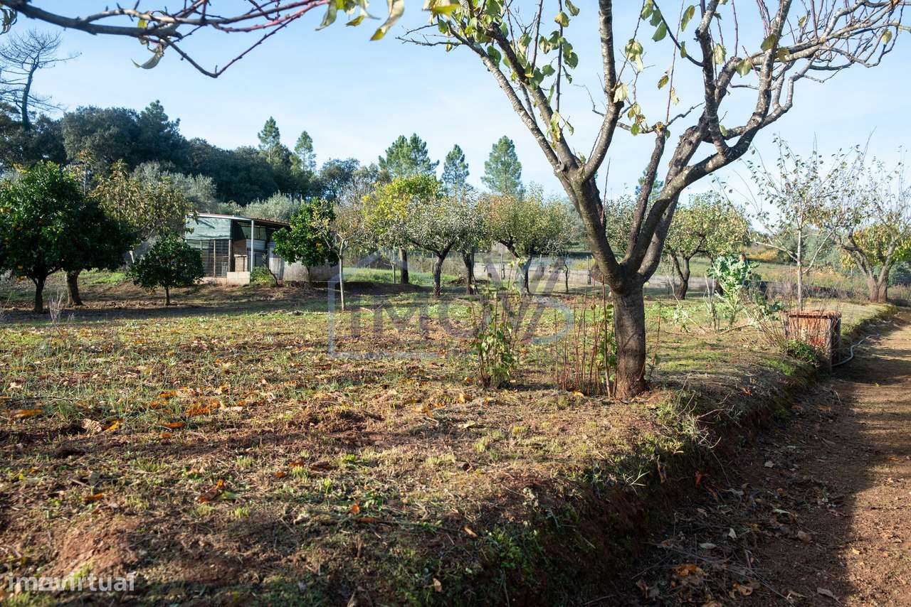 Propriedade com 2 Habitações, Anexo e Poço – Oportunidade Única em Fer-41